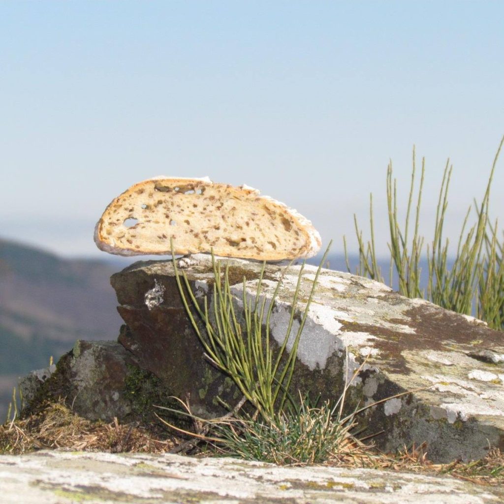 Pain paysan au levain naturel