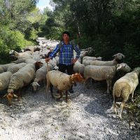 julien-eleveur