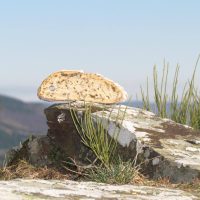 Pain paysan au levain naturel